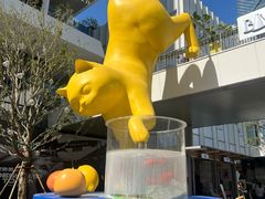 -深圳湾万象城(南山店)