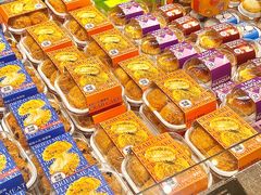 -卡滋贝诺动物奶油生日蛋糕(常熟万达店)