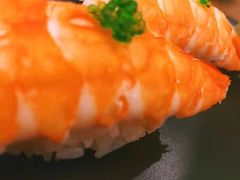 -一本钓鲔鱼屋