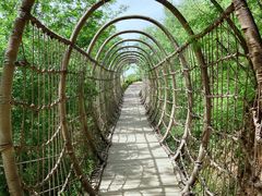 -欢乐松鼠谷