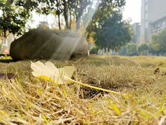 -江南大学(蠡湖校区)