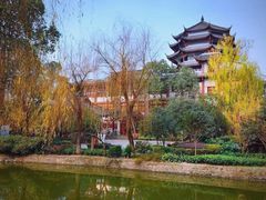 -桂湖森林公园