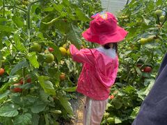 -万源龙顺度假庄园生态观光园