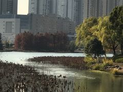 -诺贝尔湖公园