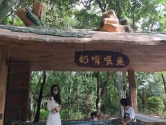 -蝴蝶泉公园
