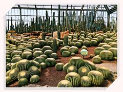 -南通洲际绿博园