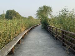 -绿堤公园