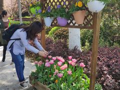 -昆山城市生态森林公园