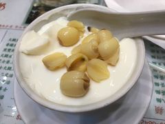 -义顺牛奶公司(新马路老店)