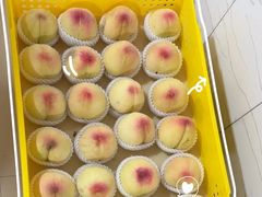 -老袁家蜜桃农场·阳山水蜜桃