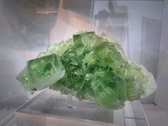 -中国地质大学逸夫博物馆