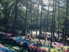 -洛阳白云山景区