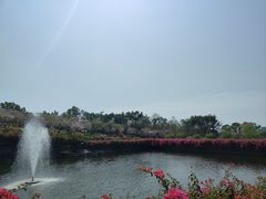 -广州莲花山旅游区