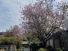 -东莞市可园博物馆