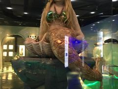 -成都泰迪熊博物馆