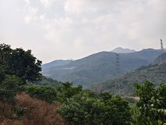 -水东兴记鸭粥店(茂名店)