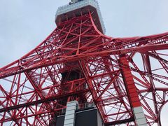 -东京塔海贼王主题公园