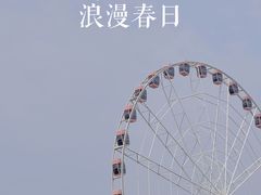 -顾村公园