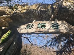 -天目湖山水园