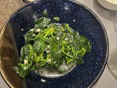 清炒菊叶-金哥私房菜馆(张府园总店)