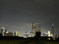 -南京眼步行桥