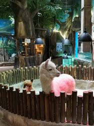 -宝燕乐园(闵行旗舰店)