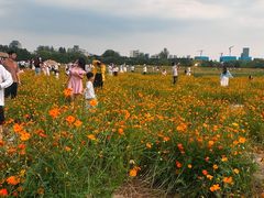 -长广溪湿地公园