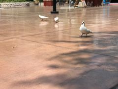 -济南方特东方神画