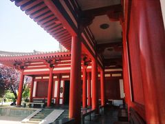 -法门文化景区