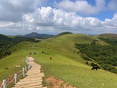 -大姆山草场