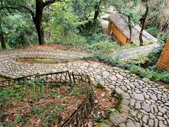-杨家堂村