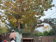 -HERRE·FARM 赫尔露营农场·团建聚会包场