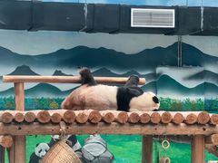 -柳州市动物园