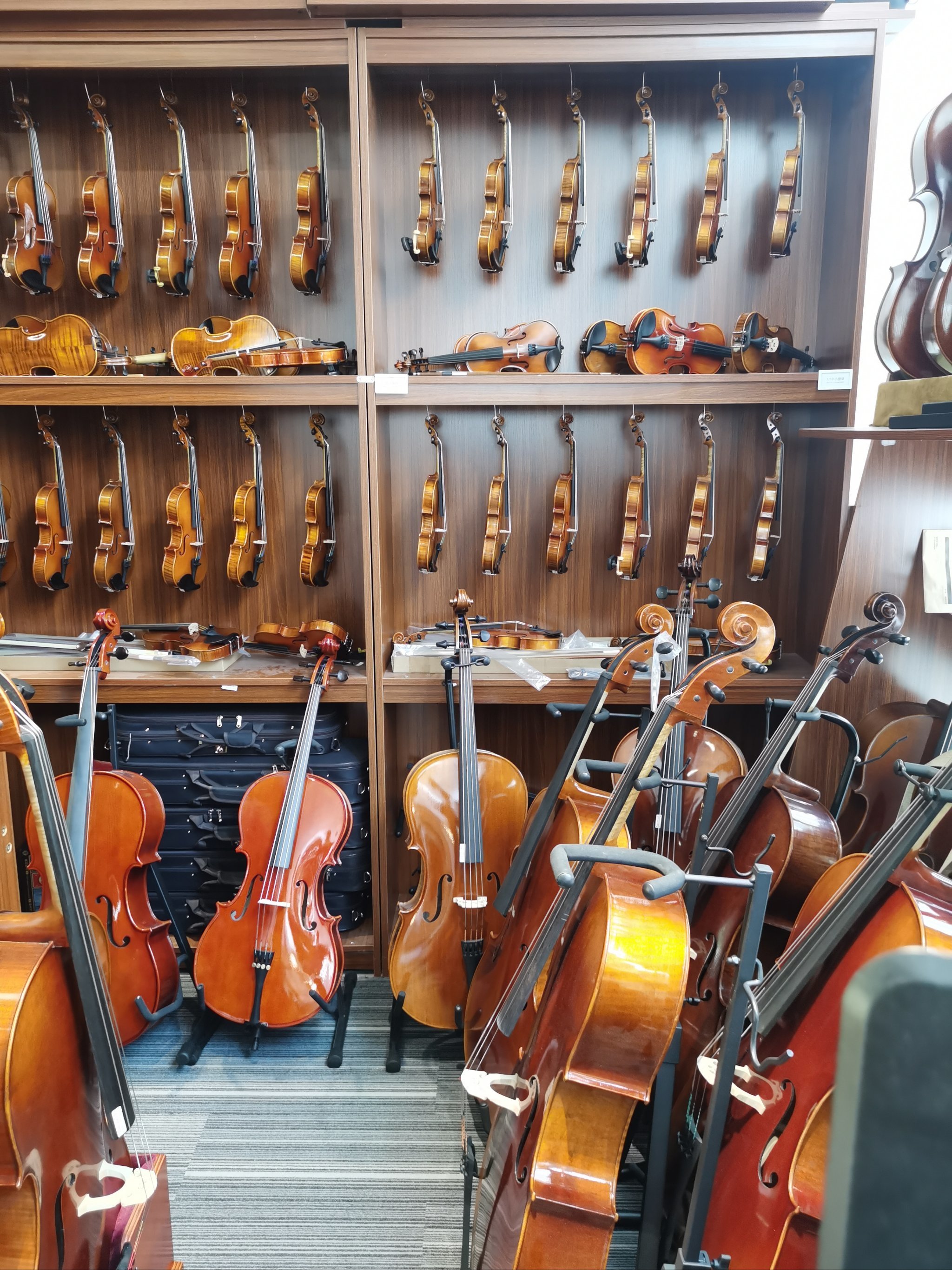 我的乐器我做主