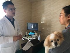 -安安宠医·安宠宠物医院