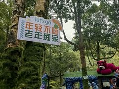 -灵栖洞天