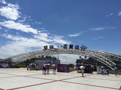 -紫颐香薰山谷景区