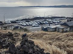 -涉地可支