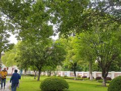-七宝老街-闵行市民文化广场