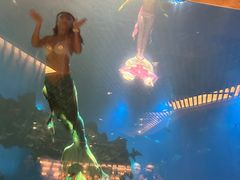 -涛·海底餐厅·美人鱼·自助餐·海底隧道(三亚海棠湾洲际度假酒店)