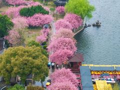 -莫愁湖公园