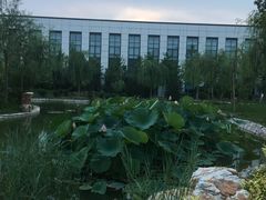 -北京国家会计学院