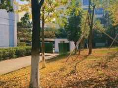 -广东药科大学(广州校区大学城校园)