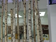 -极简口腔(总院)