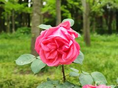 -狼山风景名胜区