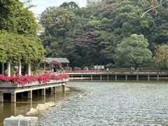 -广州市帽峰山景区