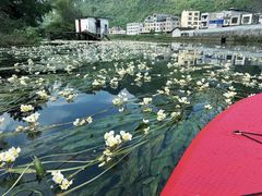 -亮欢寨(凯里总店)