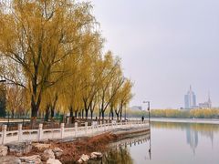 -莲花池公园