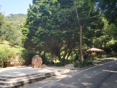 -大雁山风景区