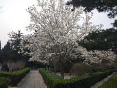 -山东大学(千佛山校区)